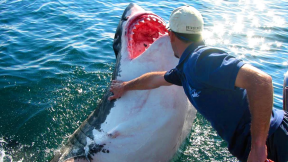 10 Unusual Pets You’ll See For the First Time in Your Life...