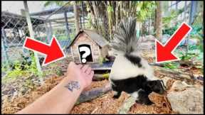 CLEANING MY EXOTIC PETS ENCLOSURE! ON THE RANCH!