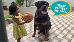 Cute baby playing with dogs | funny baby and pets | funny dog videos |