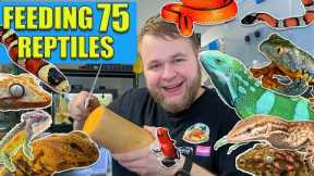 FEEDING ALL 75 OF MY PETS!!