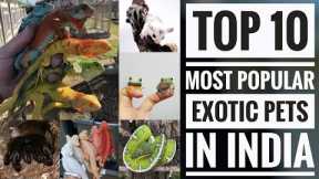 Top 10 Exotic Pets in India | #Exoticpets | Pets Formula - Tamil