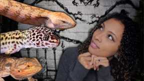 5 Best Reptiles For Kids