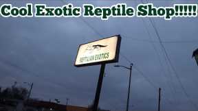 Cool Exotic Reptile Shop!!! | Reptilian Exotics