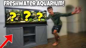 BUYING My DREAM Freshwater Exotic FISH AQUARIUM!!