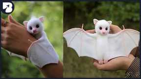 15 Cute Exotic Animals You Can Own as Pets