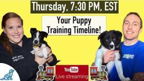 Puppy Training Schedule Week By Week - Professional Dog Training Tips