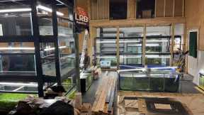 Friday Night Live Q&A Freshwater Aquarium Keeping Fish Shrimp and Plants