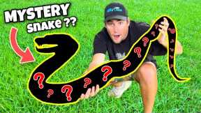NEW MYSTERY SNAKE UNBOXING ! WHAT COULD IT BE ??