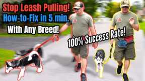 STOP Leash Pulling with ANY BREED Right NOW!  SO EASY!