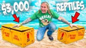 $3000 of Reptiles Arrive! Let's Unbox Them!