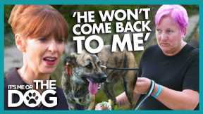 Victoria Shocked By Dogs That Chase Runners On Walks | It's Me or The Dog