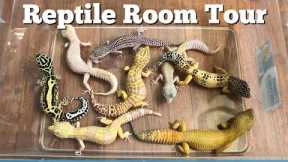 REPTILE ROOM TOUR MARCH 2018 (20 pets!!)