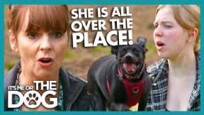 Dog BOLTS When Let Off The Leash! | It's Me or The Dog