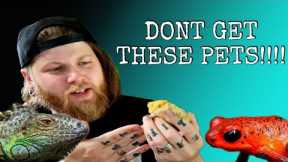 Top 5 WORST Beginner Reptiles That EVERY Pet Store Sells