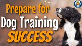 How To Teach Your Dog Anything With My Training Plan #172 #podcast
