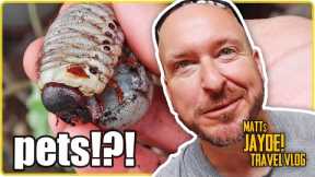 Strange and Exotic Pets Hobbies in China | China VLOG
