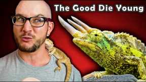 5 Reptiles That Will Be GONE In Five Years!
