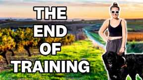 The Guide Dog Training Footage You Never Saw…