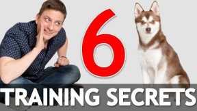 6 Dog Training Secrets in 5 Minutes!
