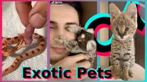 Exotic Pets TikTok Compilation (Part 1)