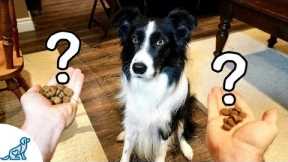A Game That Teaches Your Dog Self-Control - Professional Dog Training Tips