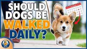 Dog Walking: Why To Start, How Often, And Where #178 #podcast