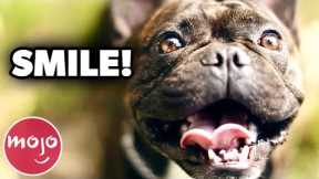 Top 20 Coolest Tricks to Teach Your Dog