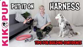 Put on your HARNESS - Service Dog Training