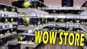 Epic Fish Store - Amazing Freshwater Aquarium Setups