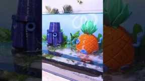 Bikini Bottom in a Fish Tank? 🍍