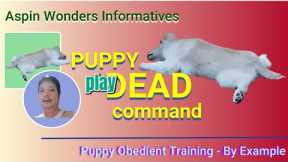 TEACH YOUR PUPPY PLAY DEAD COMMAND - BY EXAMPLE