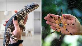 11 Craziest Pets People Actually Own