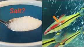 Using salt in freshwater fish tanks - all you need to know on using salt in aquariums