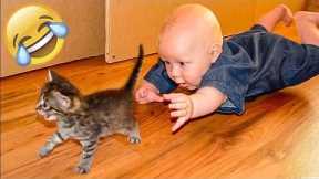1 HOUR FUNNY CATS COMPILATION 2022😂| Funny and Cute Cat Videos😸 !