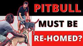 When you should re-home your aggressive dog.
