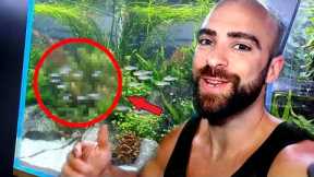 Adding AMAZING SCHOOLING FISH To AQUARIUM | MD FISH TANKS