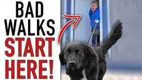 This One Step Will COMPLETELY Change Your Leash Walking Training