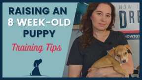 8 Week Old Puppy Training Tips