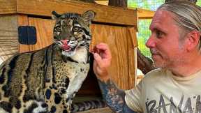 COOLEST REPTILE PETSHOP IN THE COUNTRY!! | BRIAN BARCZYK