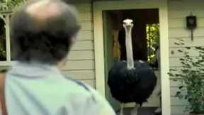 Get A Dog ! | Exotic Pets PEDIGREE Super Bowl Ad | COMEDY | 2009