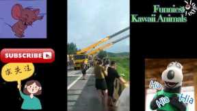 Funny Kawaii animals - Funny Cute cats / dogs -  / Best videos for SECOND WEEK of OCT 2022