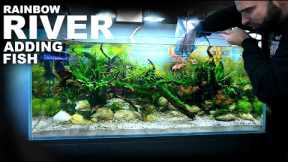 Adding NEW FISH to my RAINBOW RIVER Aquarium!!!