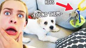 TEACH YOUR DOG TO FIND YOUR KEYS (EASY) w/Sockie from The Norris Nuts