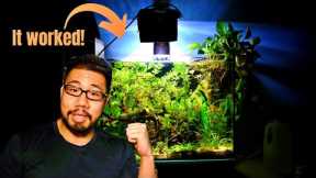 HOW TO: Zero Water Change Ecosystem Aquarium 💦🚫
