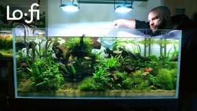 *Real Time* Fish Tank Cleaning - LoFi Beats [relaxing/motivation]