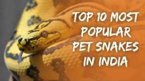 Top 10 Most Popular Pet Snakes In India