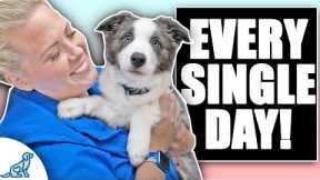 Do You Have A HYPER Puppy? You Need To Do THIS!