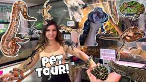 MEETING ALL 50 of my GFs Exotic Pets in 1 Video! *She has a lot of Animals!*