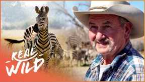 The World's Weirdest Exotic Pets | Predator Pets | Real Wild