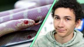 5 Sketchy Things I Did While Selling Exotic Reptiles